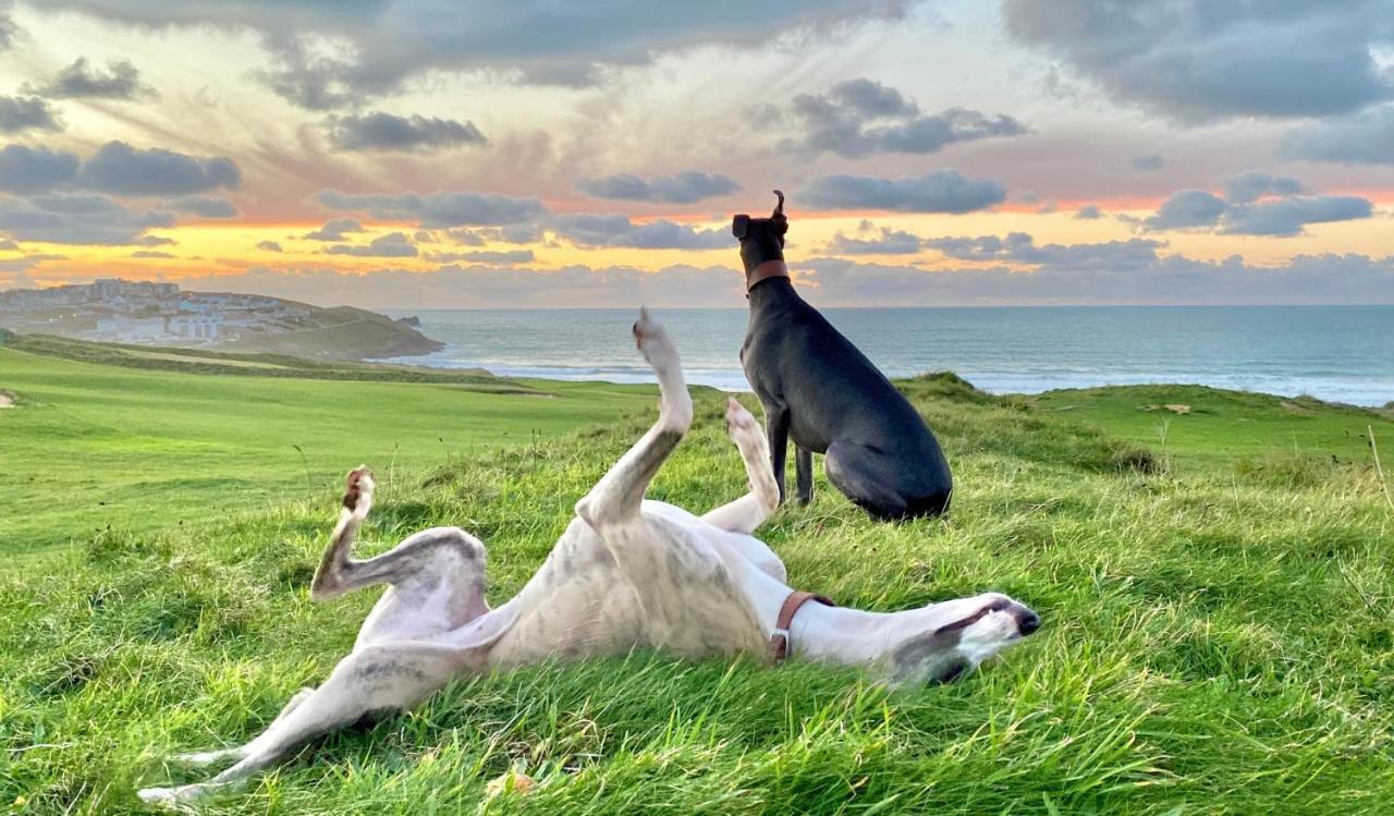 Pentire Point - Fully Equipped Eco Escape Apartment Crantock Luaran gambar